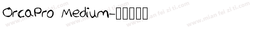 OrcaPro Medium字体转换